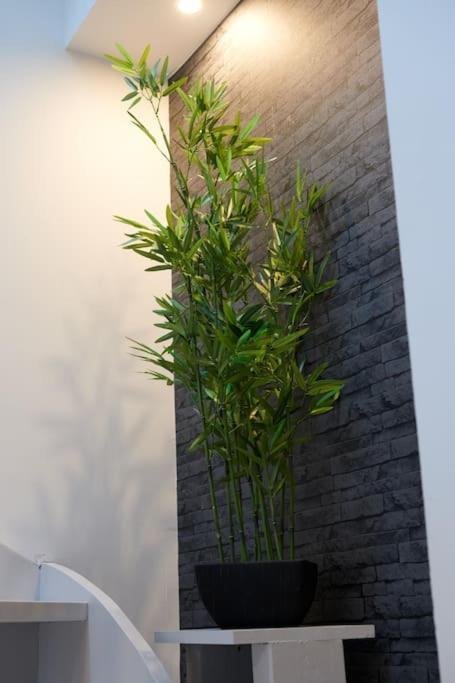 Le Duplex Horizon Travot Vue Splendide Et Central 숄레 외부 사진